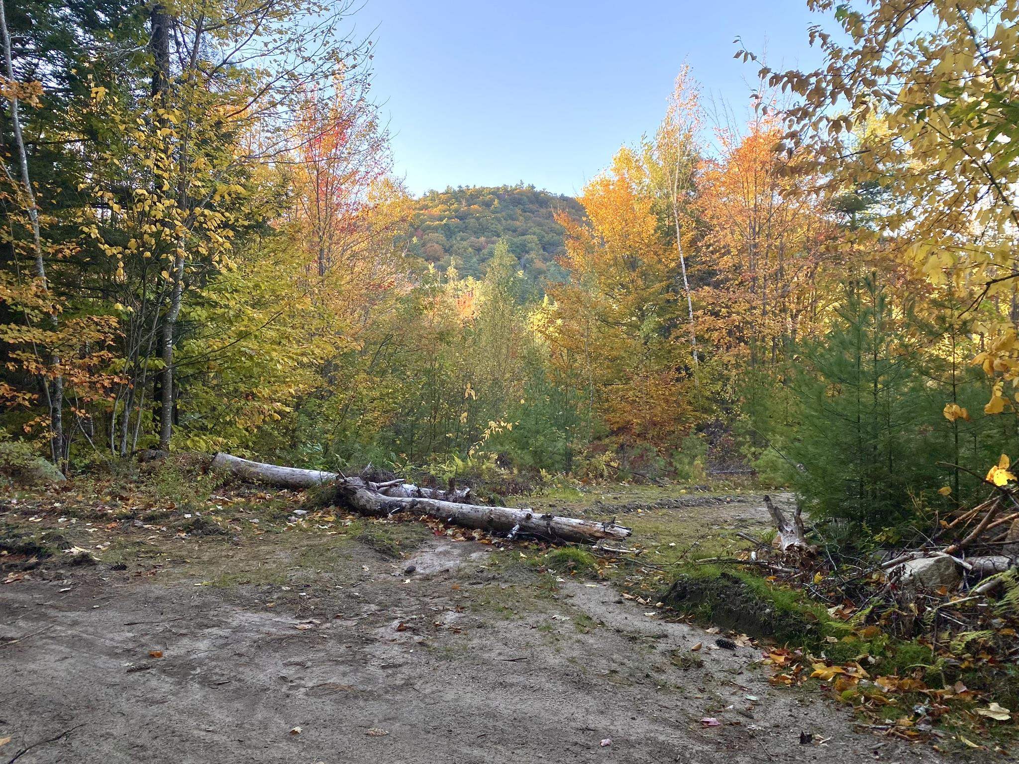 Bean Road, Unit 2 4 6 Center Conway, NH 03813 - Photo 60 of 60