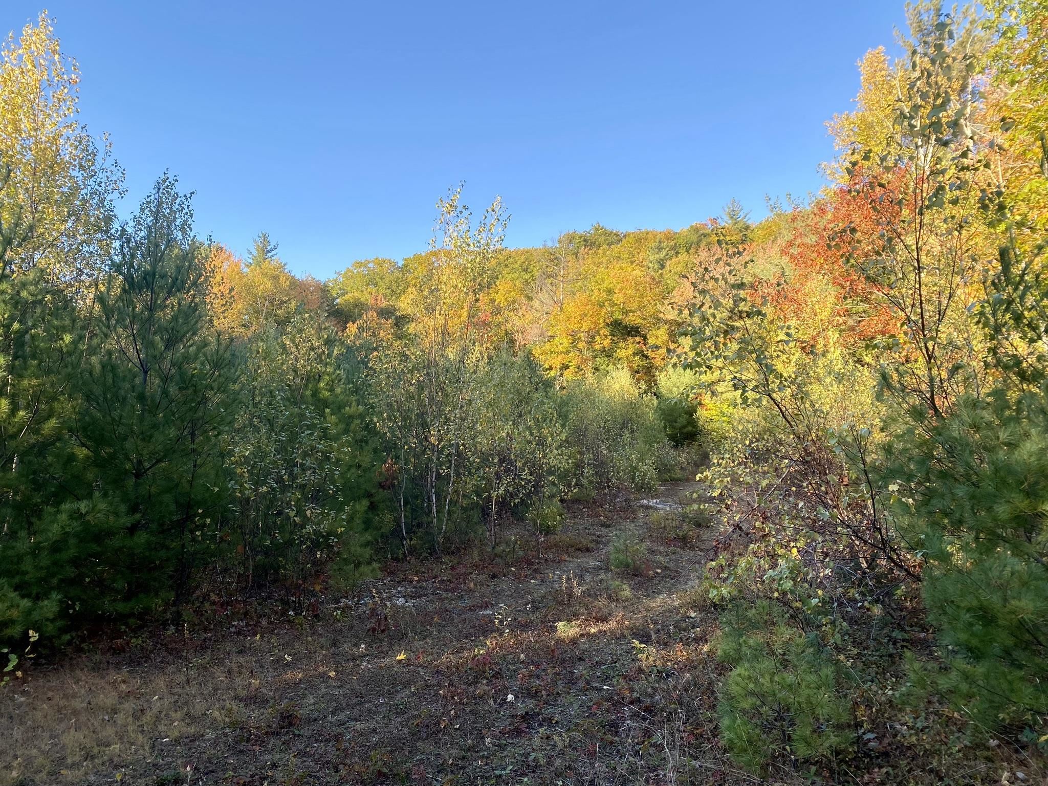 Bean Road, Unit 2 4 6 Center Conway, NH 03813 - Photo 7 of 60