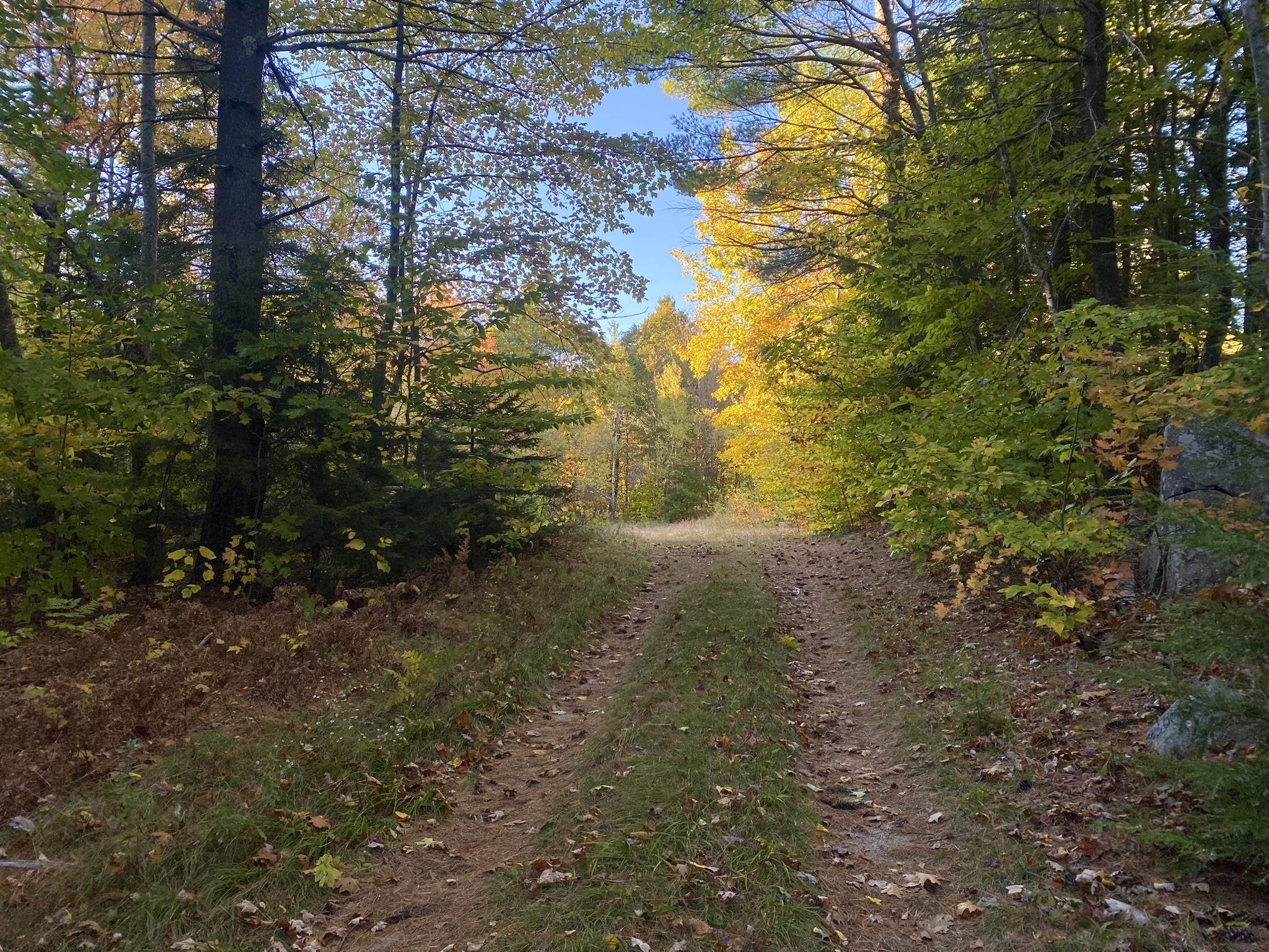 Bean Road, Unit 2 4 6 Center Conway, NH 03813 - Photo 8 of 60