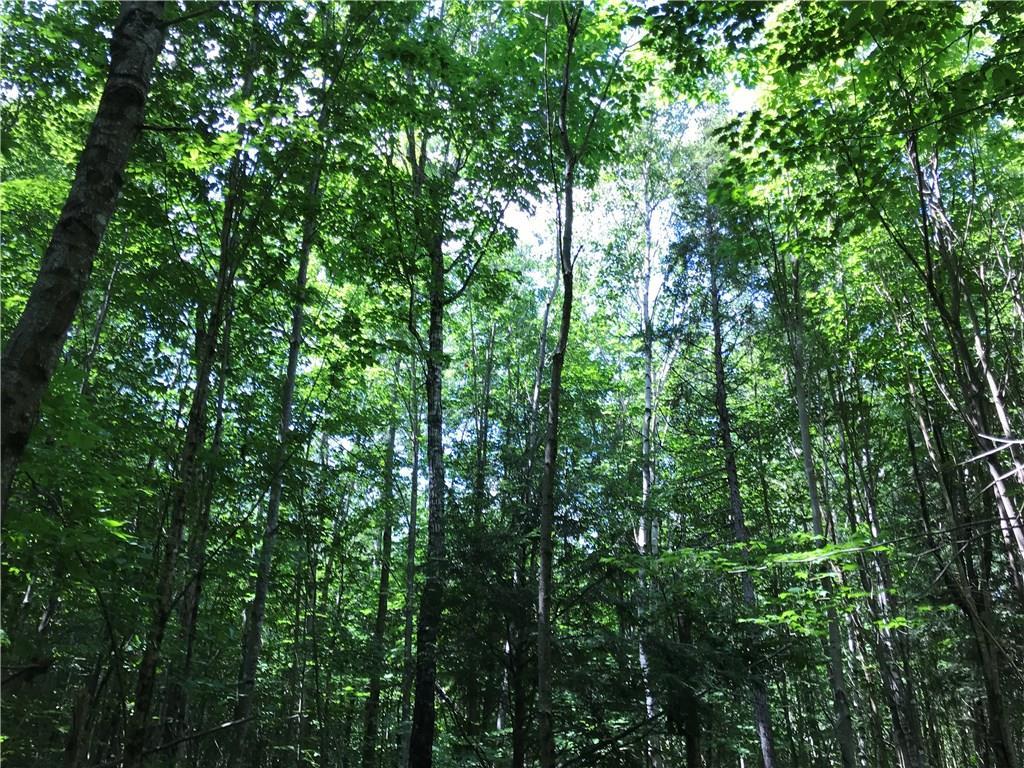 6-07 Spaulding Pond Road Lakeville, ME 04487 - Photo 12 of 13 Photo