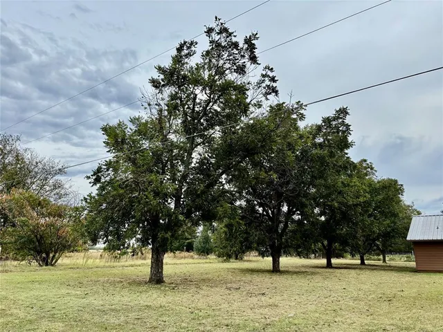 a view of outdoor space with trees
