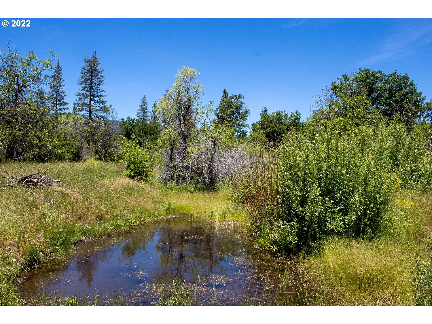 10000 Copco Road Ashland, OR 97520 - Photo 4 of 32 a view of a yard