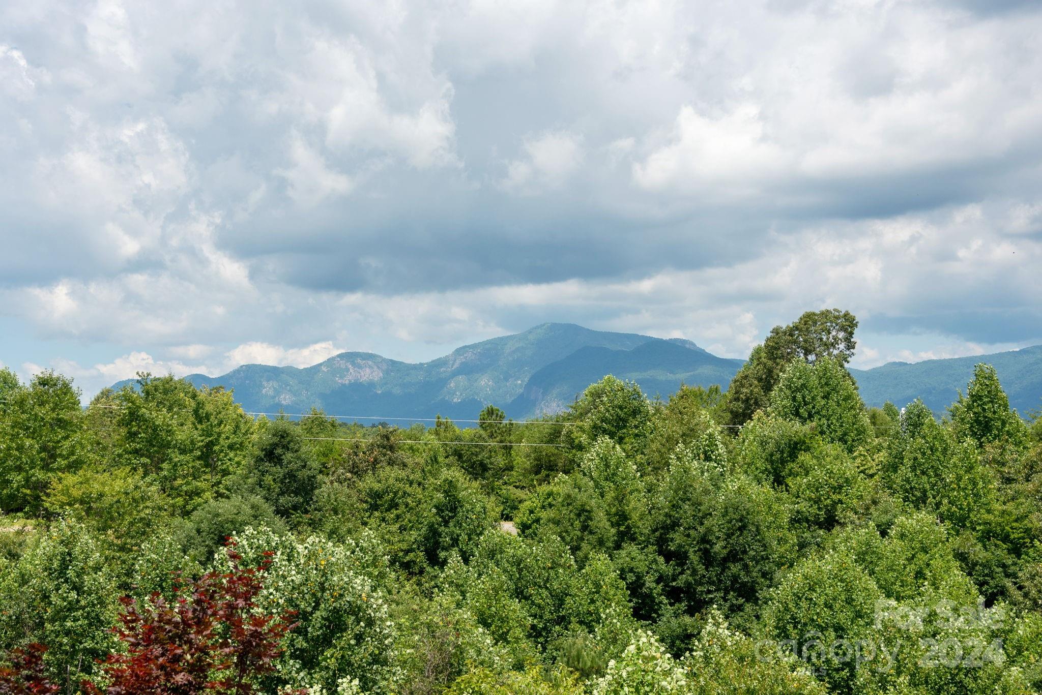115 C L Conner Trail Rutherfordton, NC 28139 - Photo 29 of 48 Gallery Image 29
