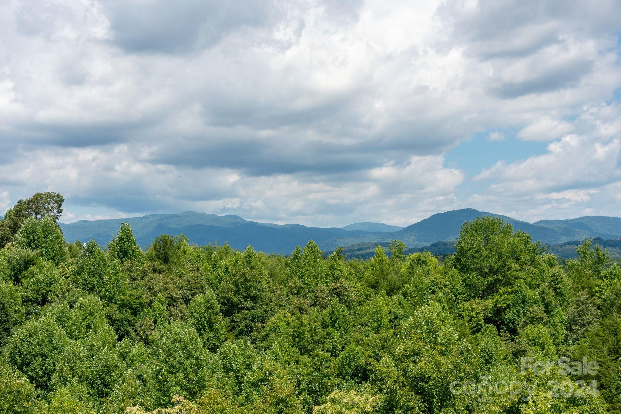 115 C L Conner Trail Rutherfordton, NC 28139 - Photo 3 of 48 Gallery Image 3