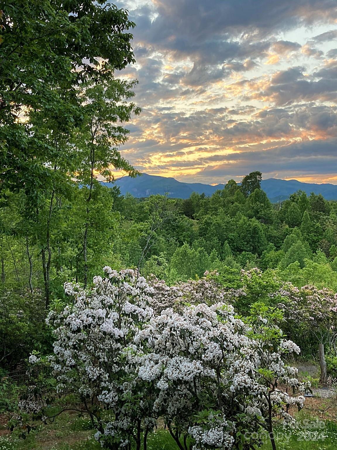 115 C L Conner Trail Rutherfordton, NC 28139 - Photo 44 of 48 Gallery Image 44