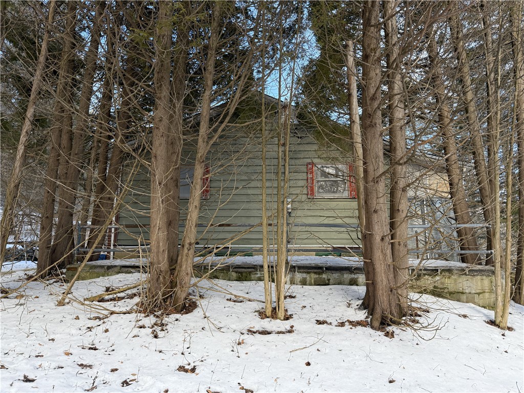 2165 Red Kill Road Fleischmanns, NY 12430 - Photo 12 of 48