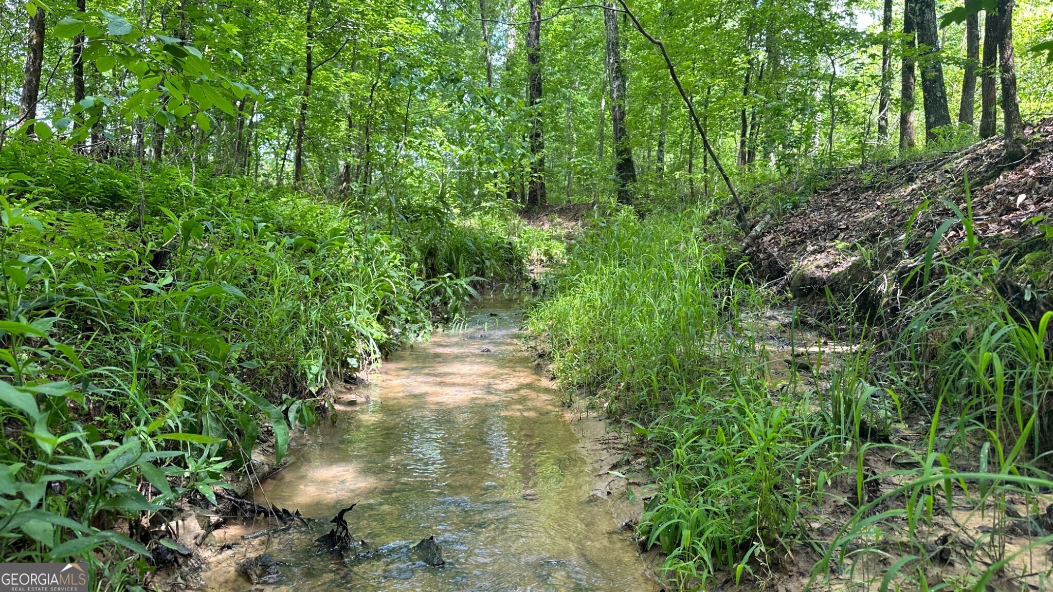 0 Center Hill Road Union Point, GA 30669 - Photo 1 of 1 Gallery Image 1