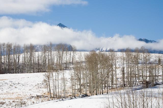 143 Adams Ranch Road Mountain Village, CO 81435 - Photo 14 of 16 a view of a snow on the road