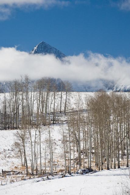 143 Adams Ranch Road Mountain Village, CO 81435 - Photo 15 of 16 a view of a terrace