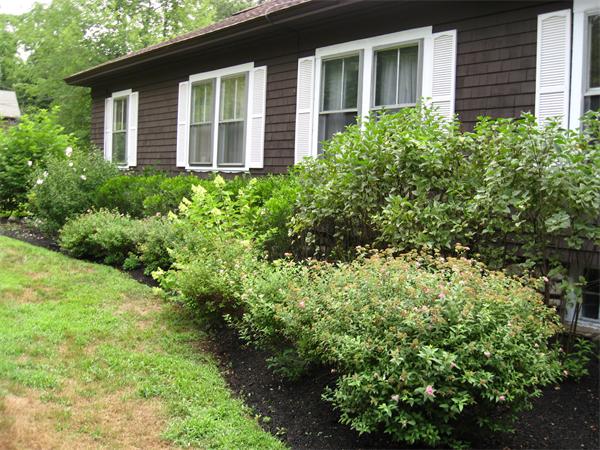 288 Sterling Road Princeton, MA 01541 - Photo 5 of 14 a view of a house with a yard and potted plants