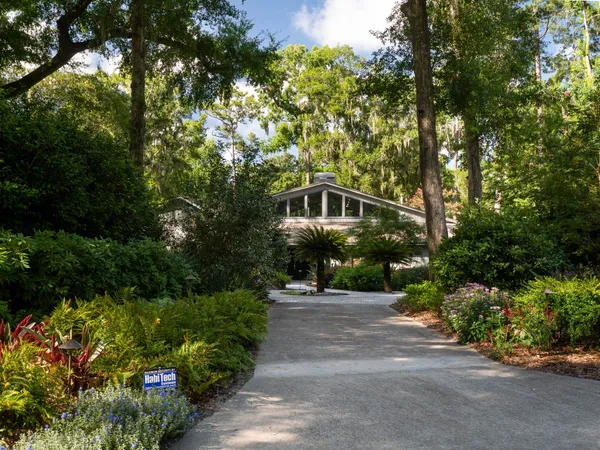 a view of a garden with plants and trees