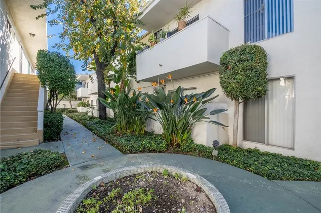 a flower plants in front of a house