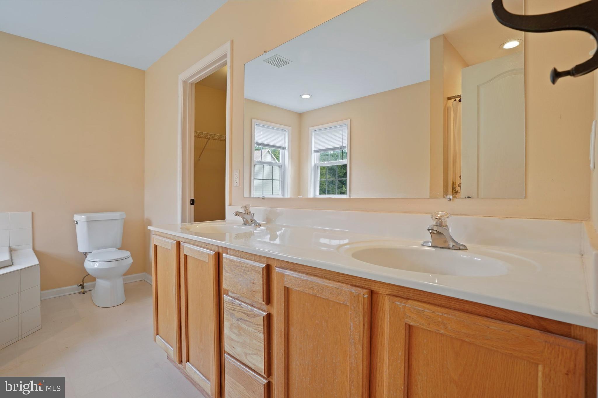 46 Patrick Ward Drive Rising Sun, MD 21911 - Photo 15 of 25 Master Bath