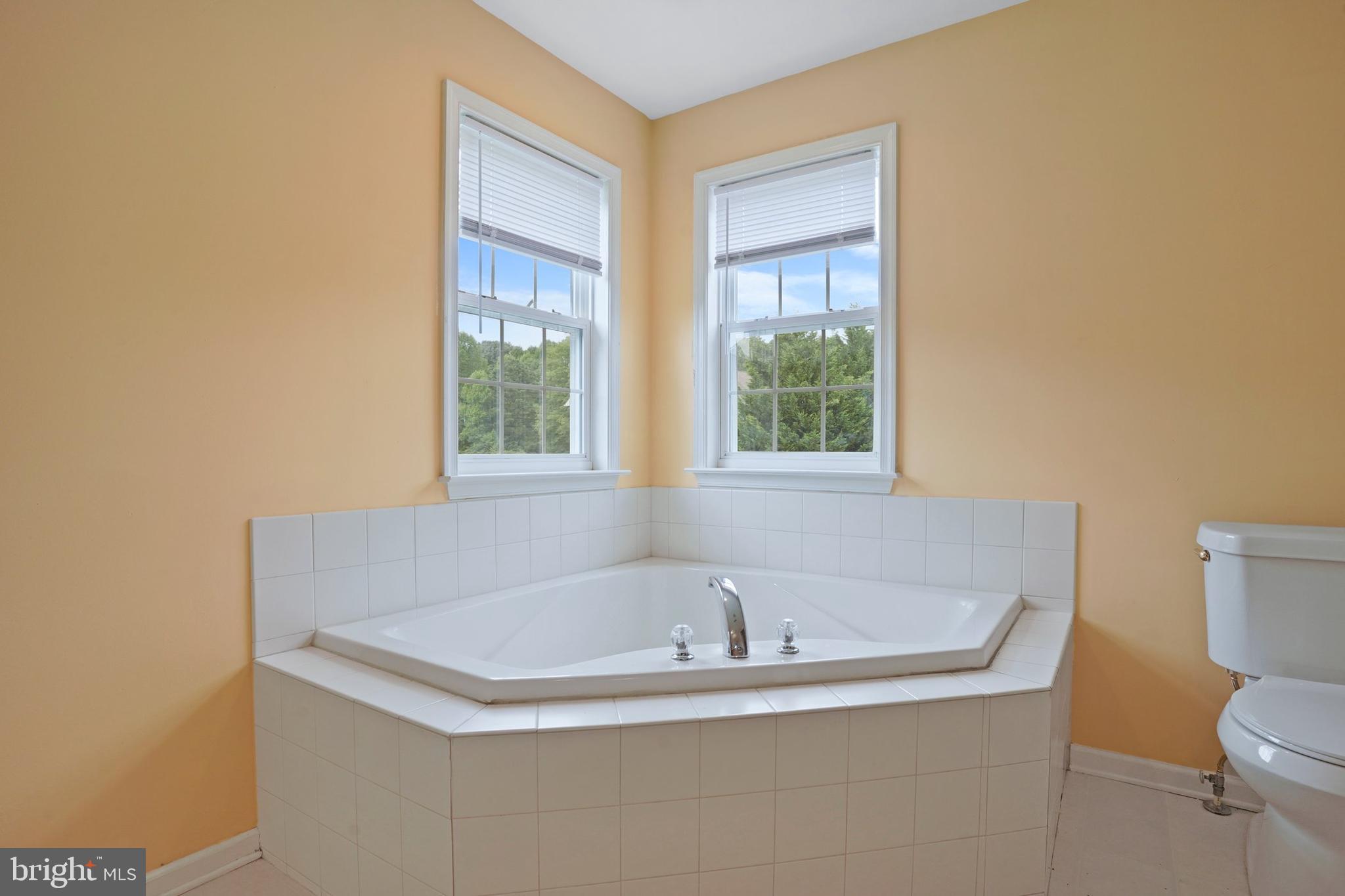 46 Patrick Ward Drive Rising Sun, MD 21911 - Photo 16 of 25 Master Bath