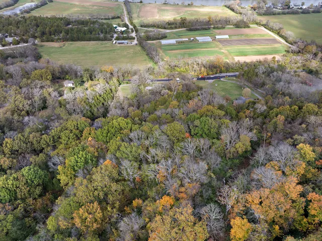 an aerial view of houses covered in trees
