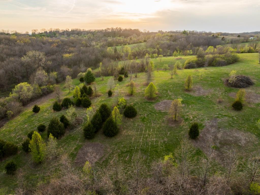 12210 North Farley Road Platte City, MO 64079 - Photo 1 of 54