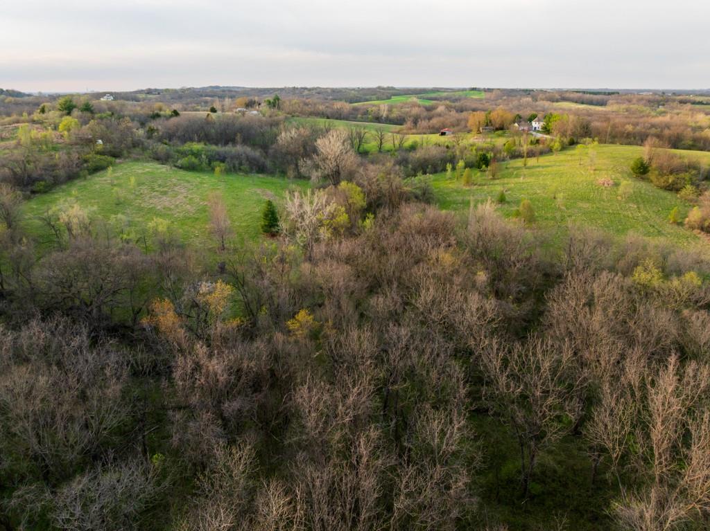 12210 North Farley Road Platte City, MO 64079 - Photo 12 of 54