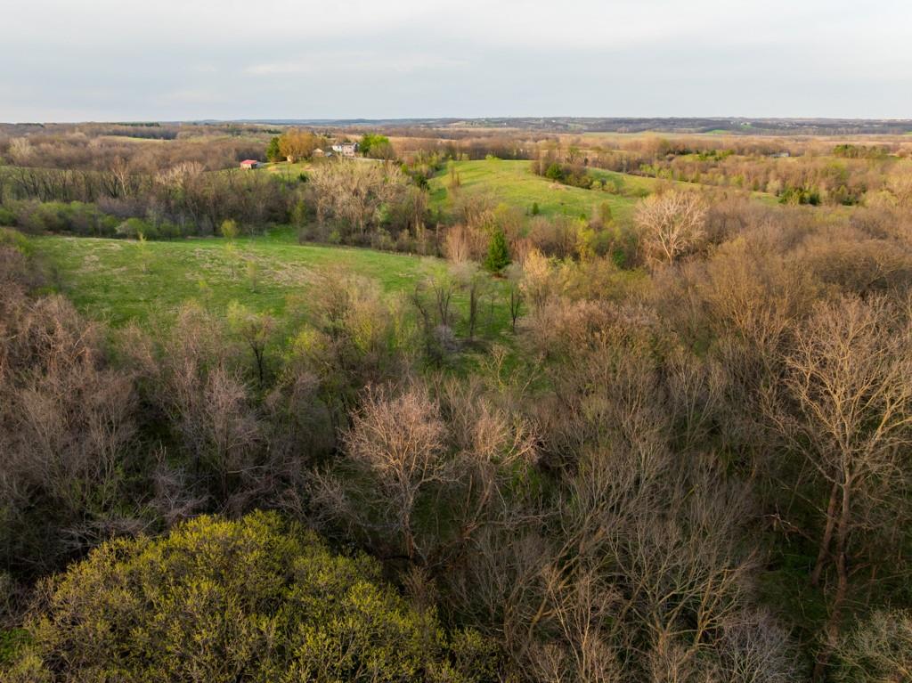 12210 North Farley Road Platte City, MO 64079 - Photo 15 of 54