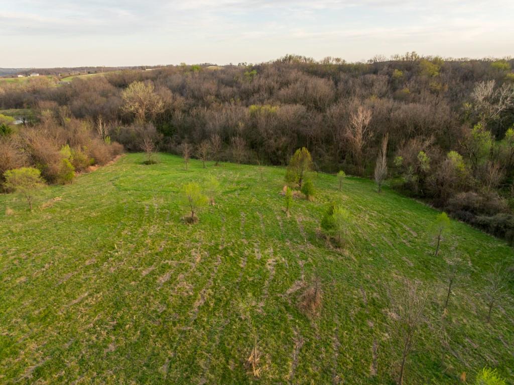 12210 North Farley Road Platte City, MO 64079 - Photo 24 of 54