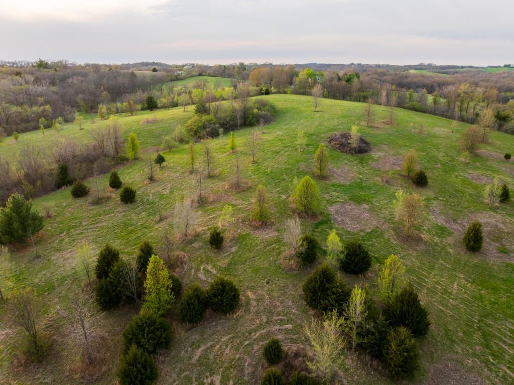 12210 North Farley Road Platte City, MO 64079 - Photo 27 of 54