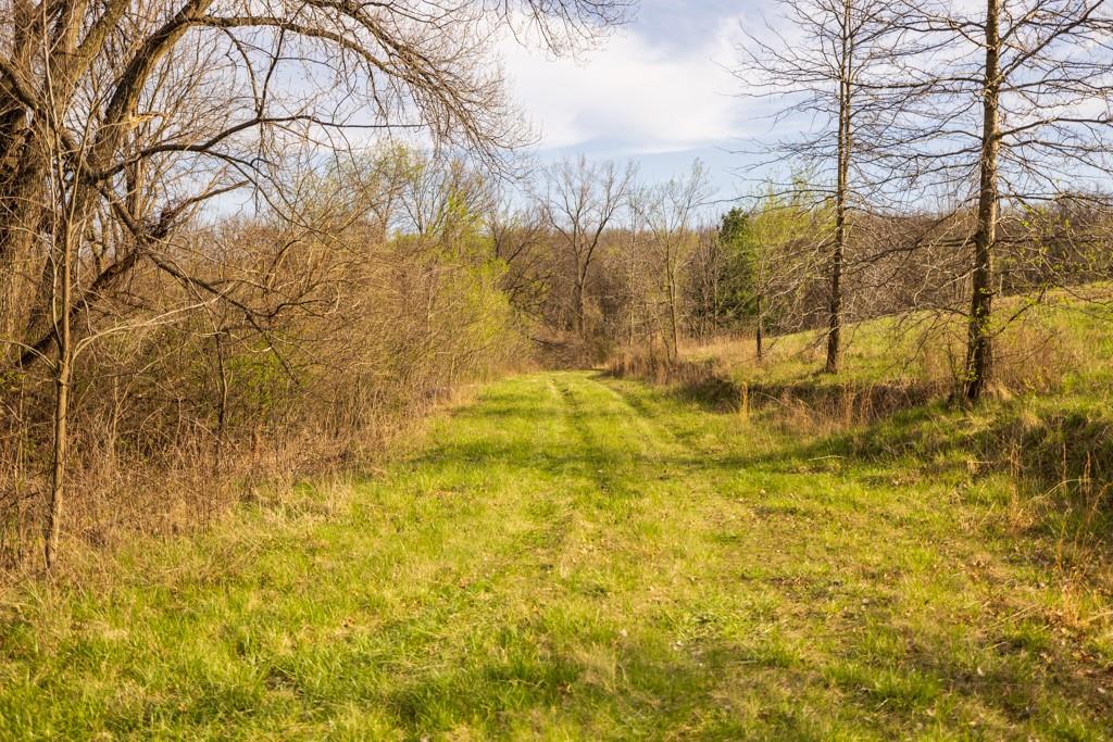 12210 North Farley Road Platte City, MO 64079 - Photo 35 of 54
