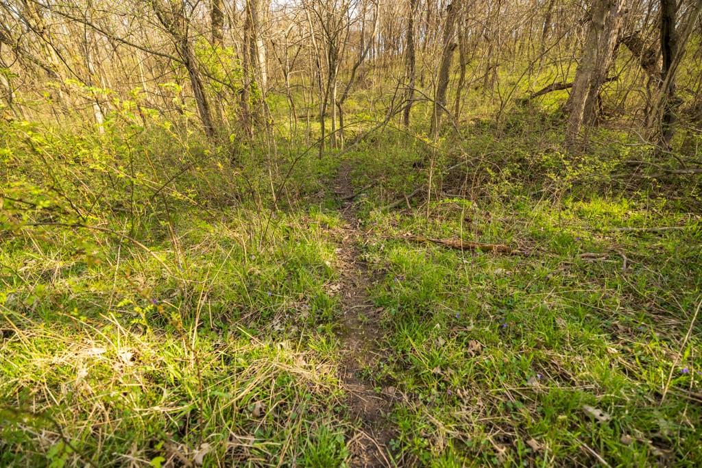 12210 North Farley Road Platte City, MO 64079 - Photo 38 of 54
