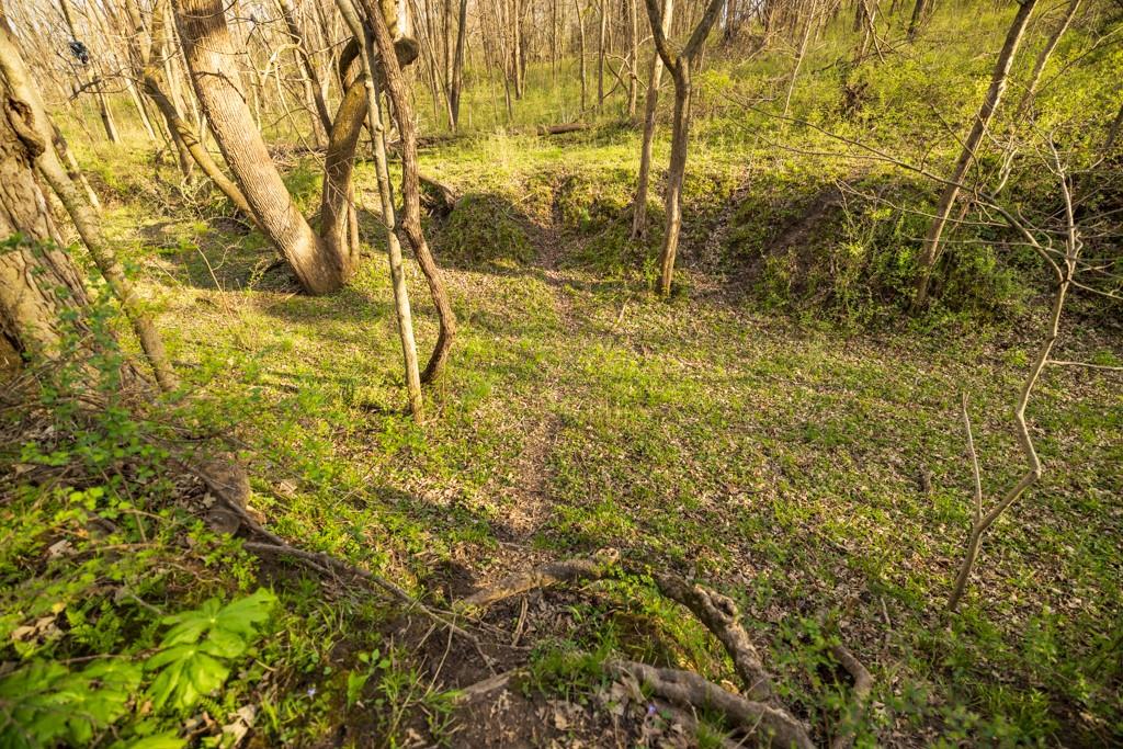 12210 North Farley Road Platte City, MO 64079 - Photo 40 of 54