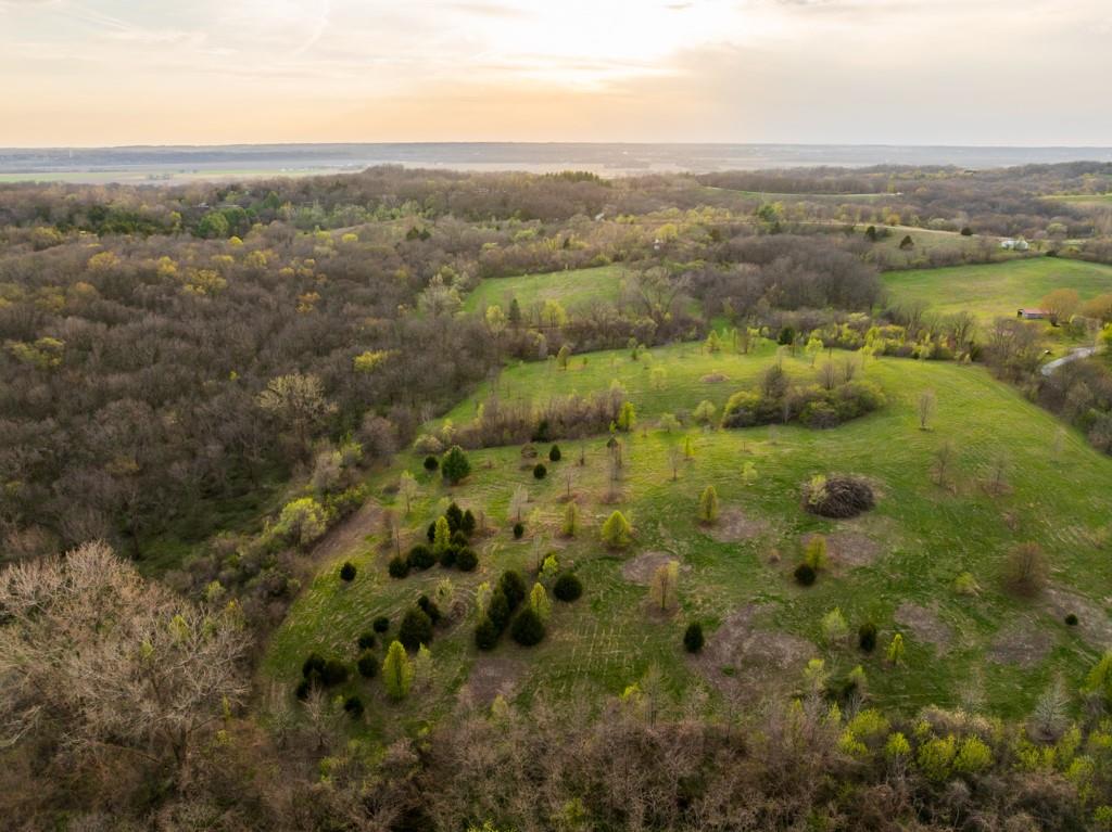 12210 North Farley Road Platte City, MO 64079 - Photo 4 of 54