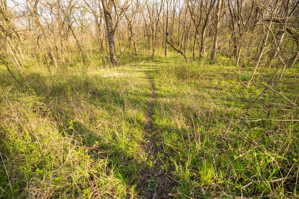 12210 North Farley Road Platte City, MO 64079 - Photo 41 of 54