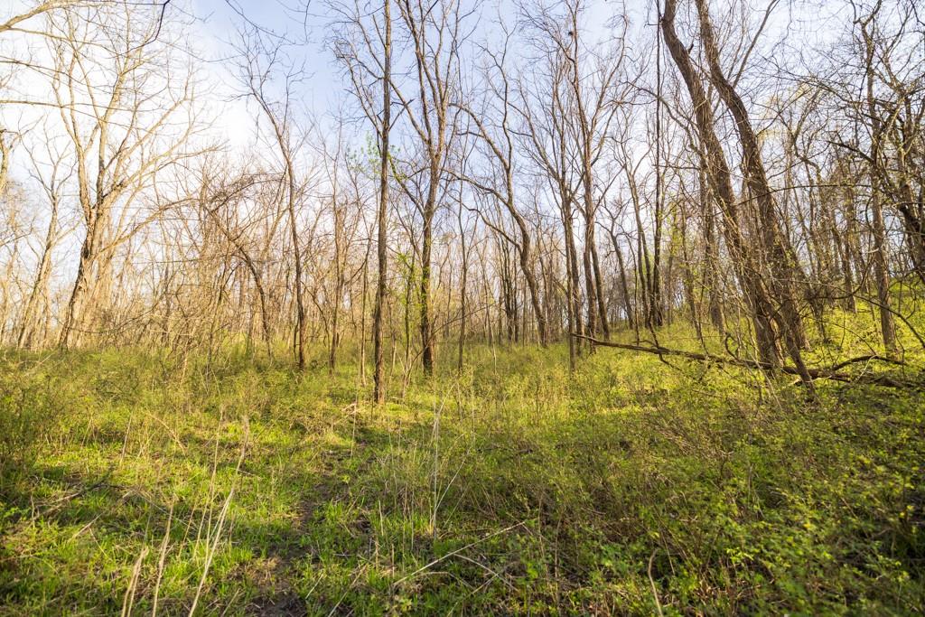 12210 North Farley Road Platte City, MO 64079 - Photo 44 of 54