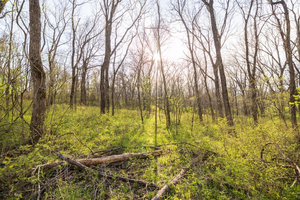 12210 North Farley Road Platte City, MO 64079 - Photo 45 of 54