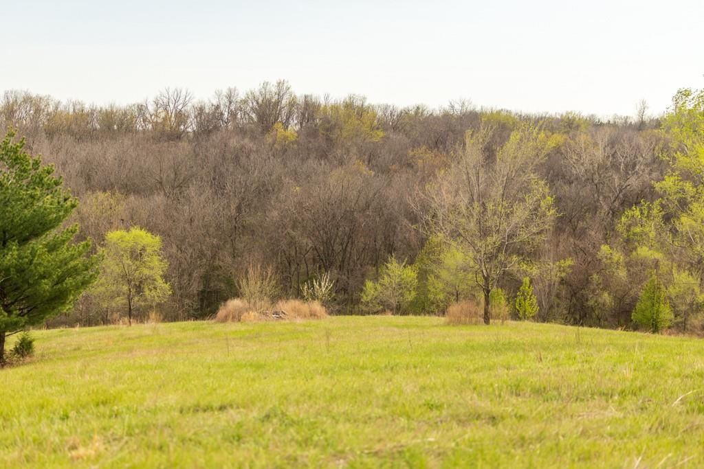12210 North Farley Road Platte City, MO 64079 - Photo 50 of 54