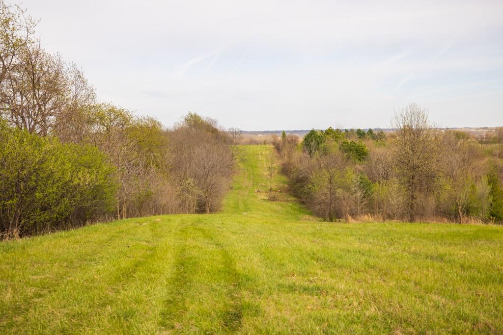 12210 North Farley Road Platte City, MO 64079 - Photo 8 of 54