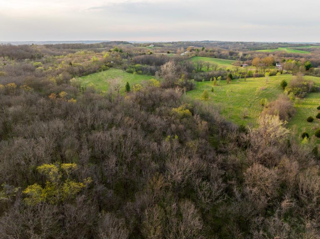 12210 North Farley Road Platte City, MO 64079 - Photo 10 of 54