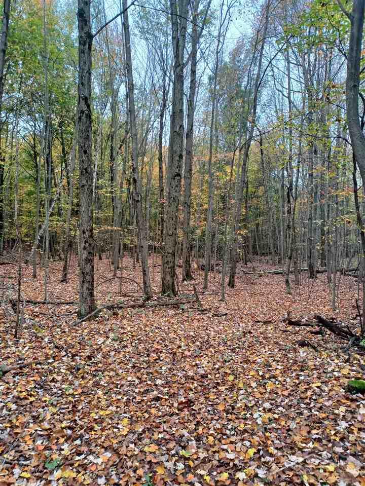 Marion Road Brant, MI 48614 - Photo 3 of 14