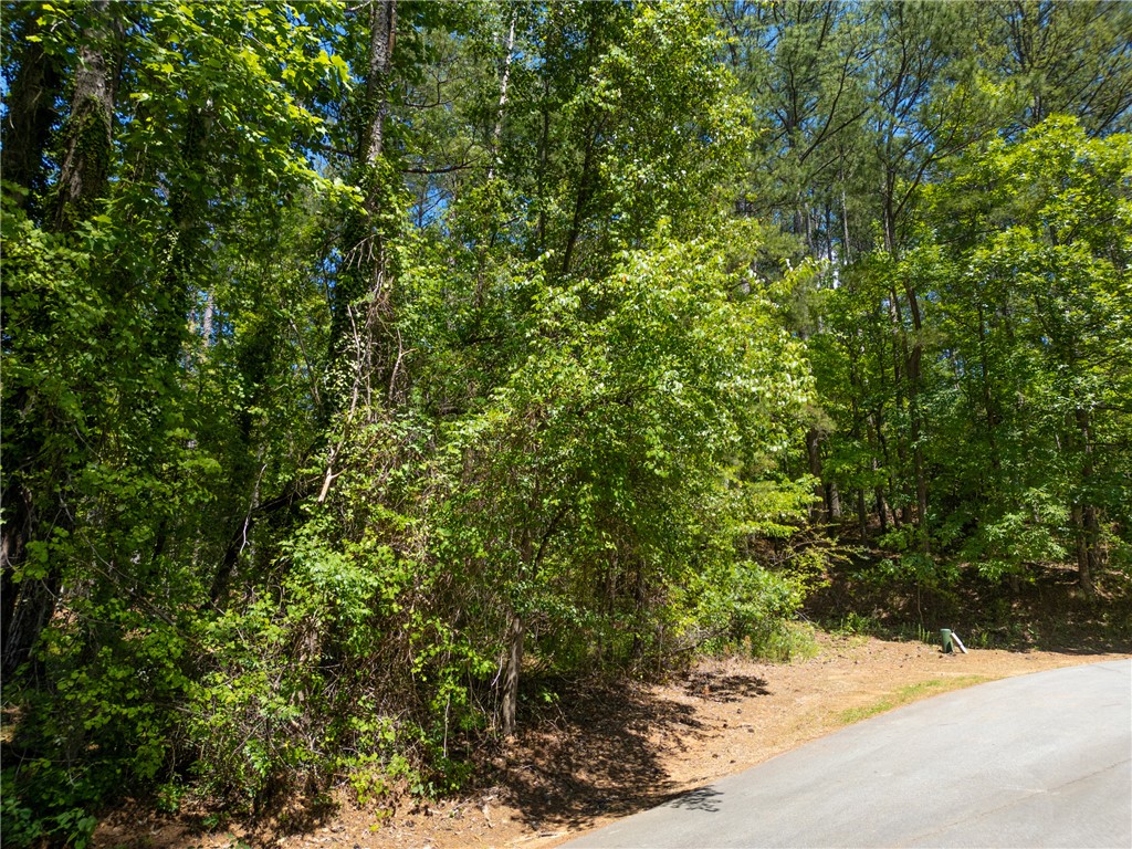 23 Tradewinds Way Salem, SC 29676 - Photo 3 of 31 Mature trees and lush greenery offer a serene and private setting for this property.