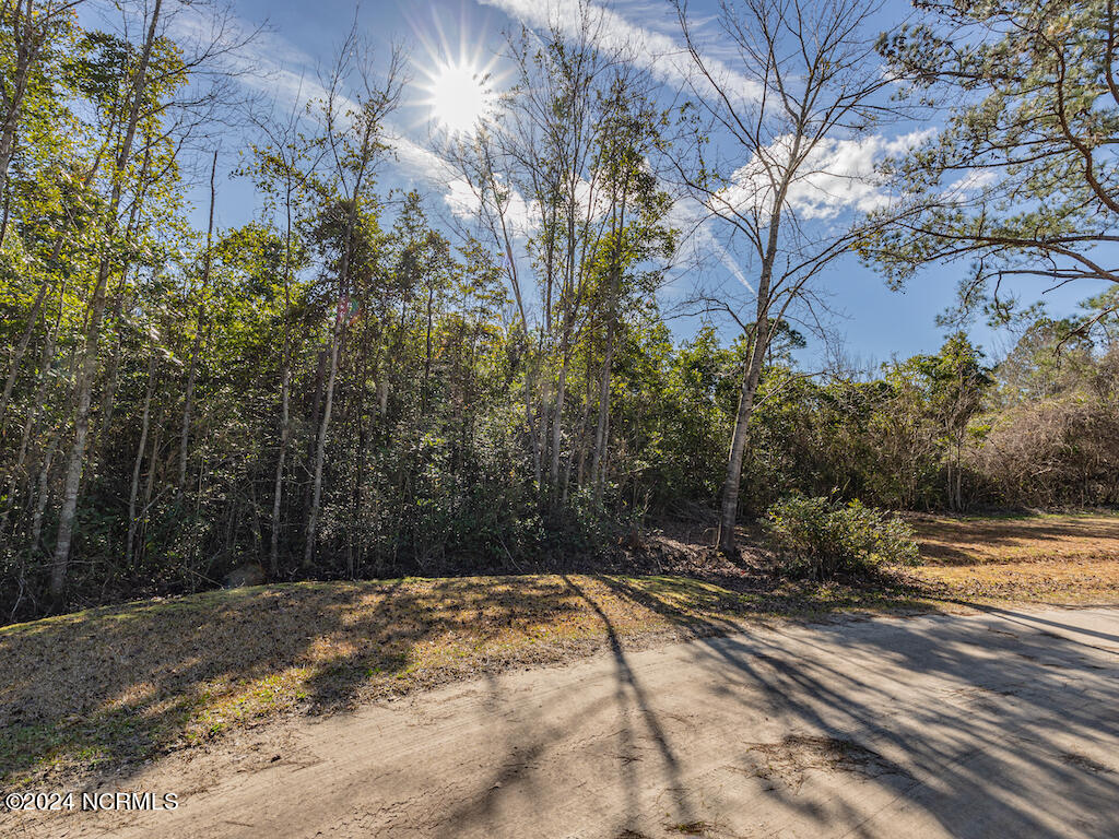 0 Hallsboro Road South Whiteville, NC 28472 - Photo 19 of 27 19