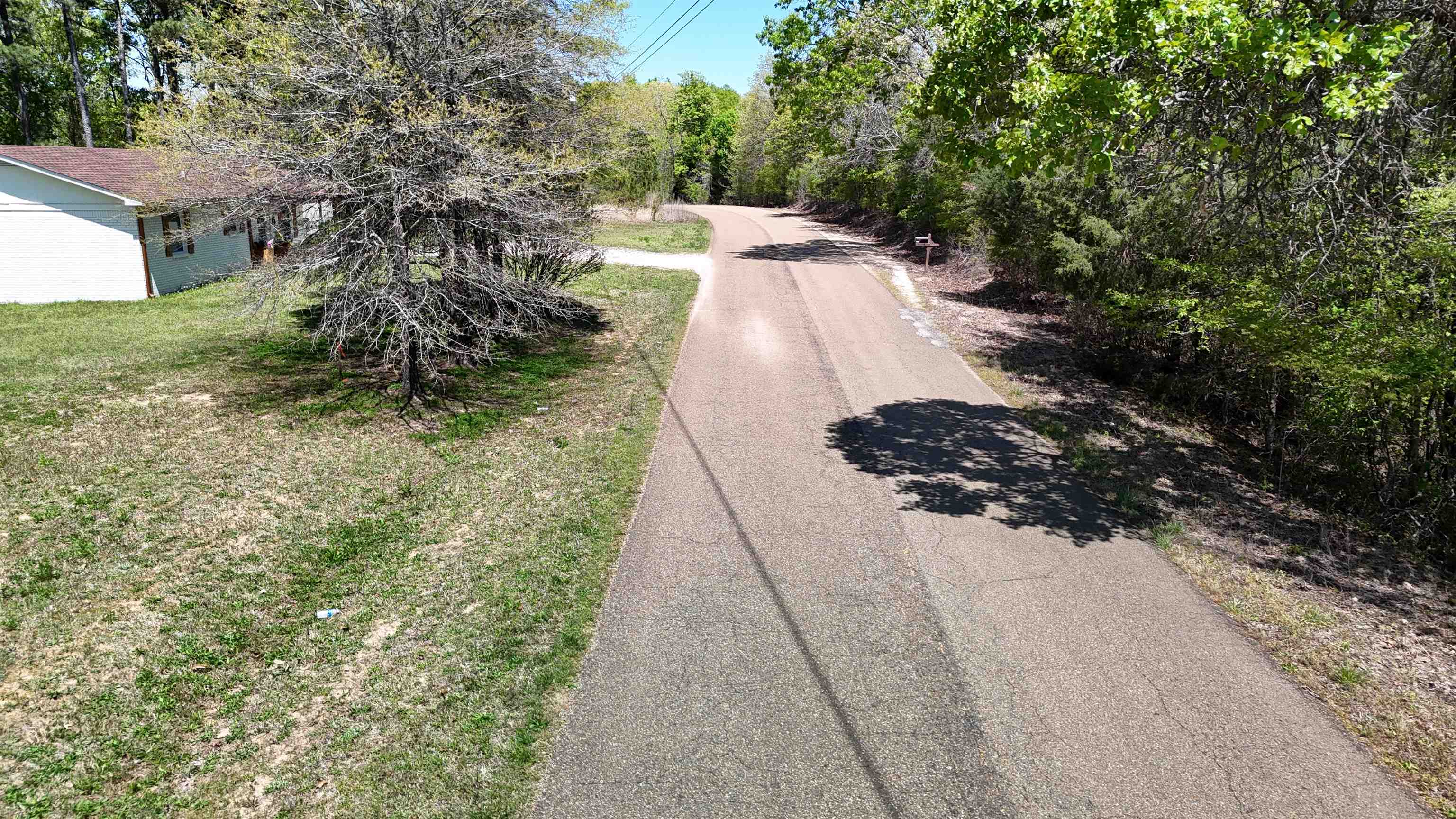 0 Ebenezer Road Toone, TN 38381 - Photo 11 of 12 a view of a yard with trees
