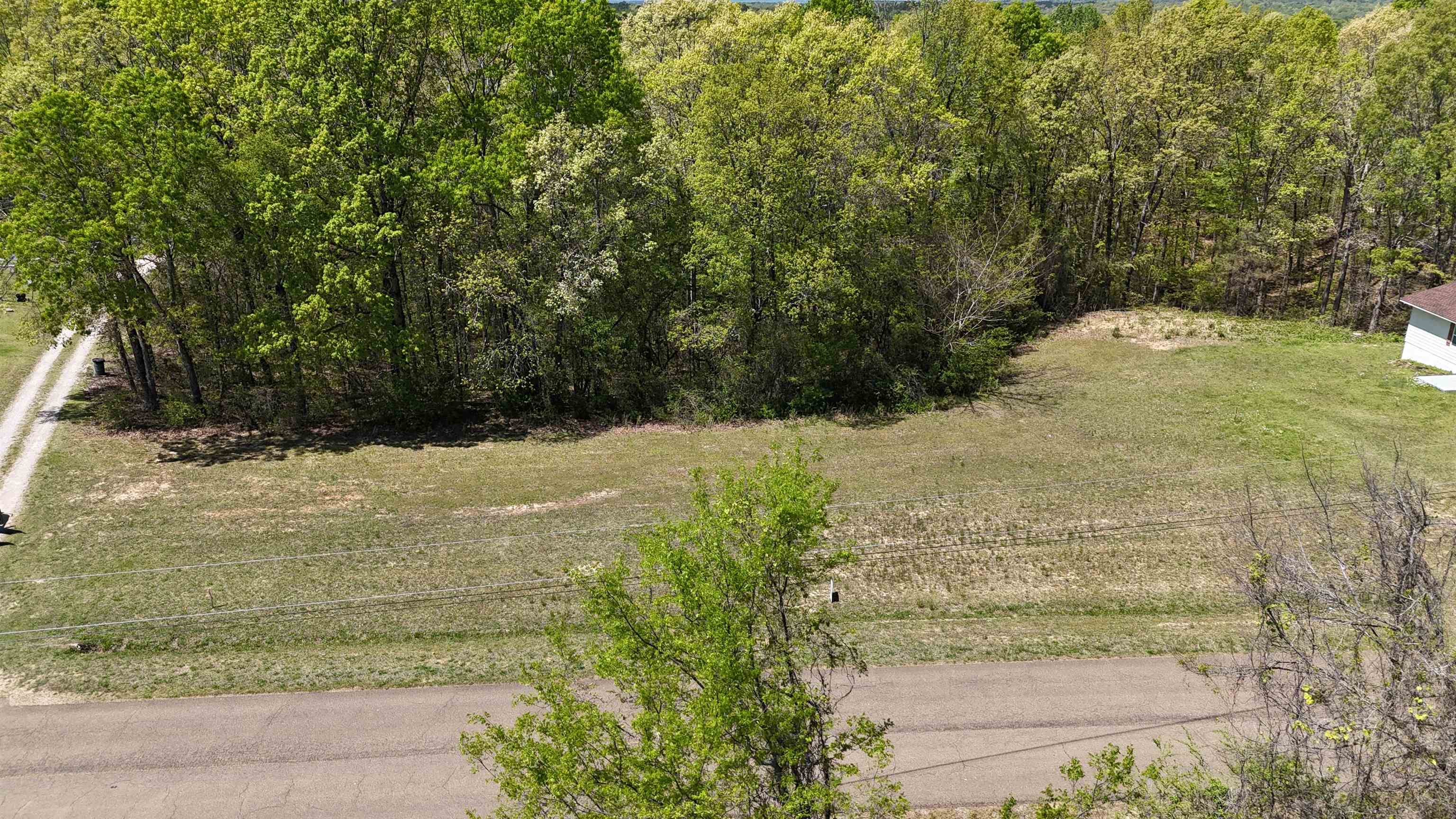 0 Ebenezer Road Toone, TN 38381 - Photo 4 of 12 a view of a yard with large trees