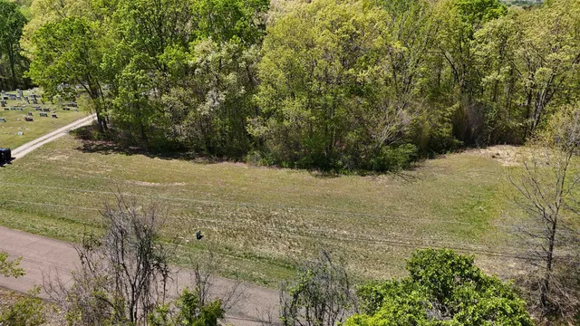 a view of a yard with a tree