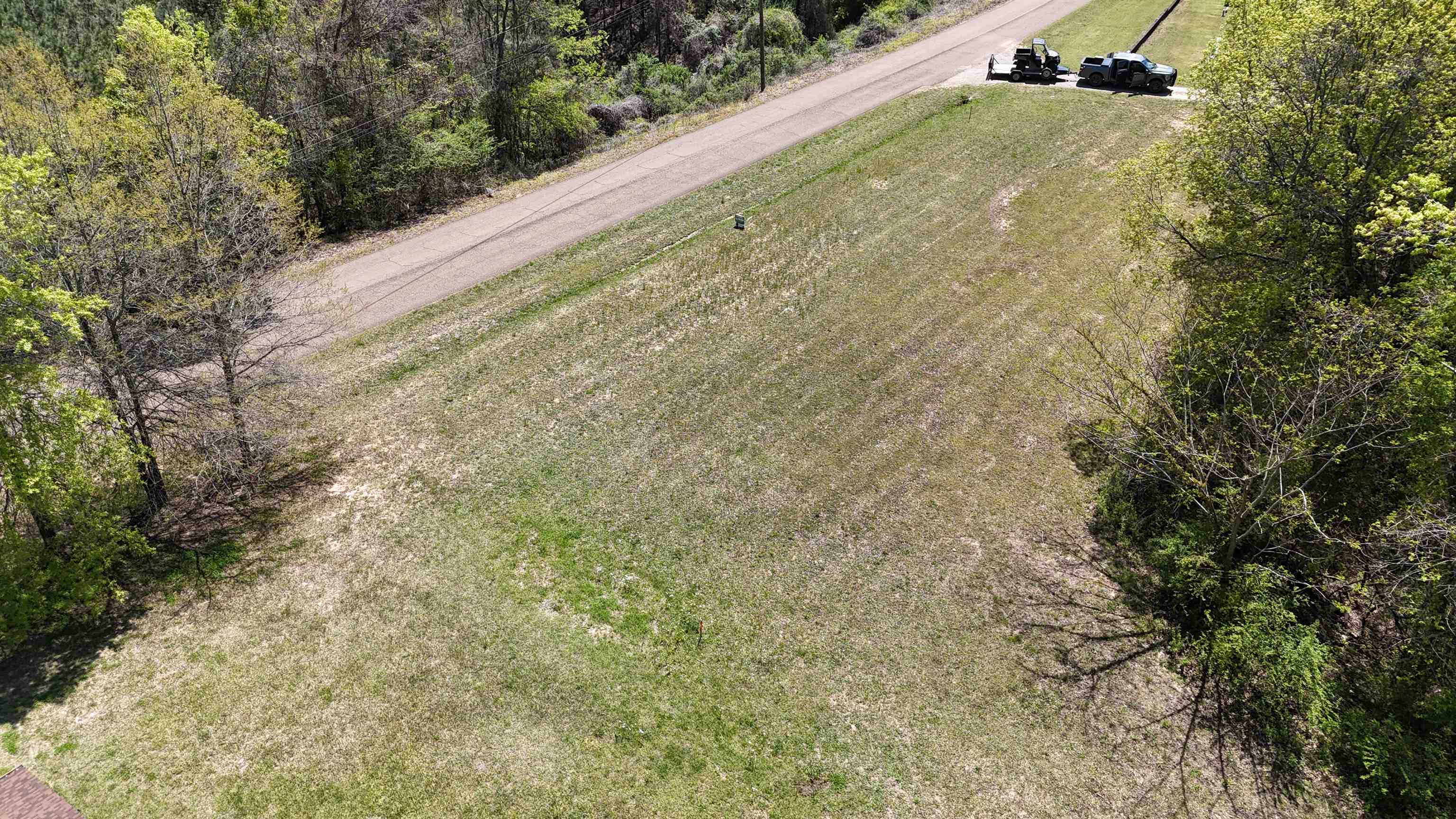 0 Ebenezer Road Toone, TN 38381 - Photo 6 of 12 a view of a yard with plants and wooden fence