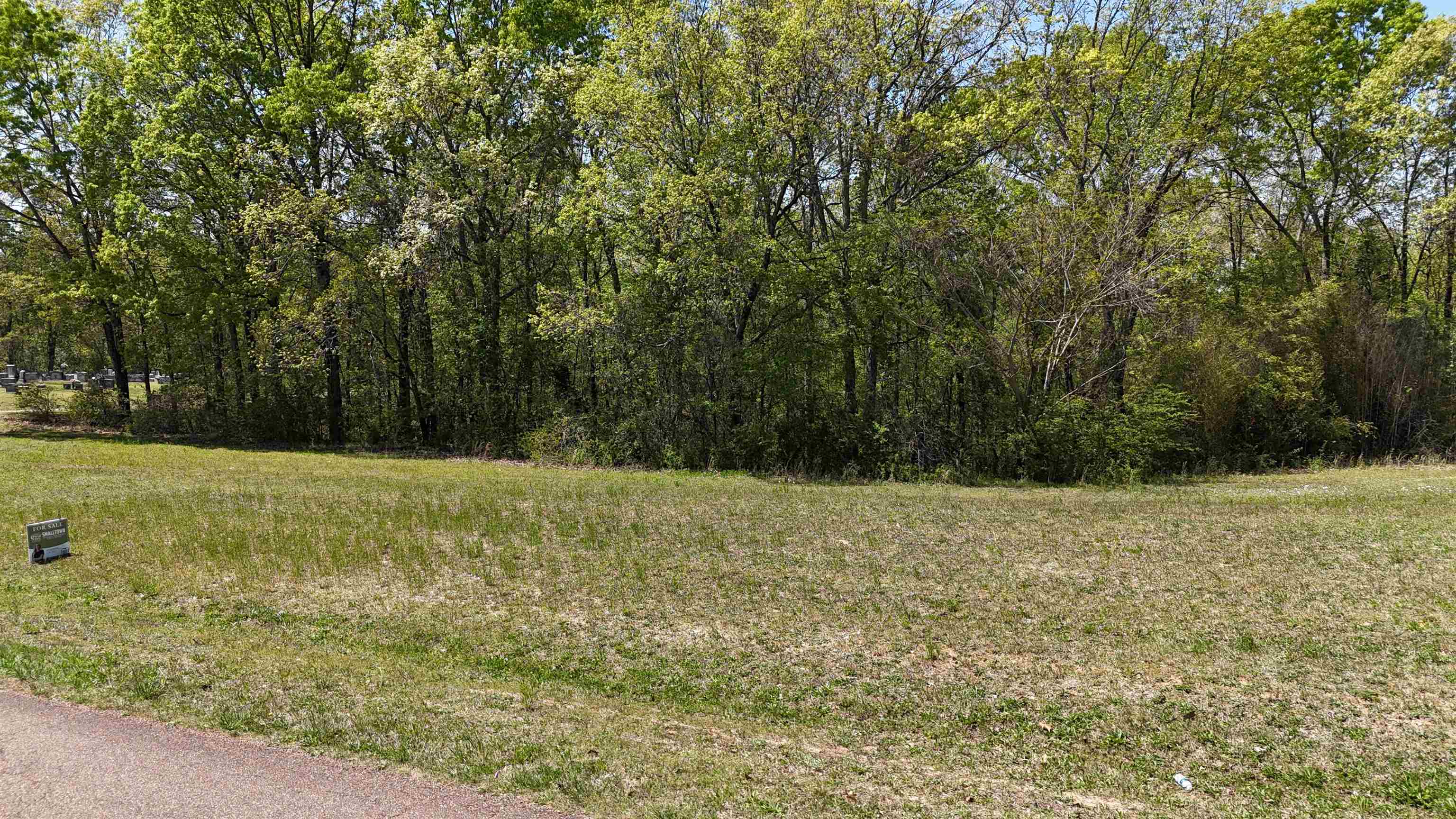 0 Ebenezer Road Toone, TN 38381 - Photo 7 of 12 a view of a yard