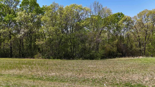 a view of outdoor space