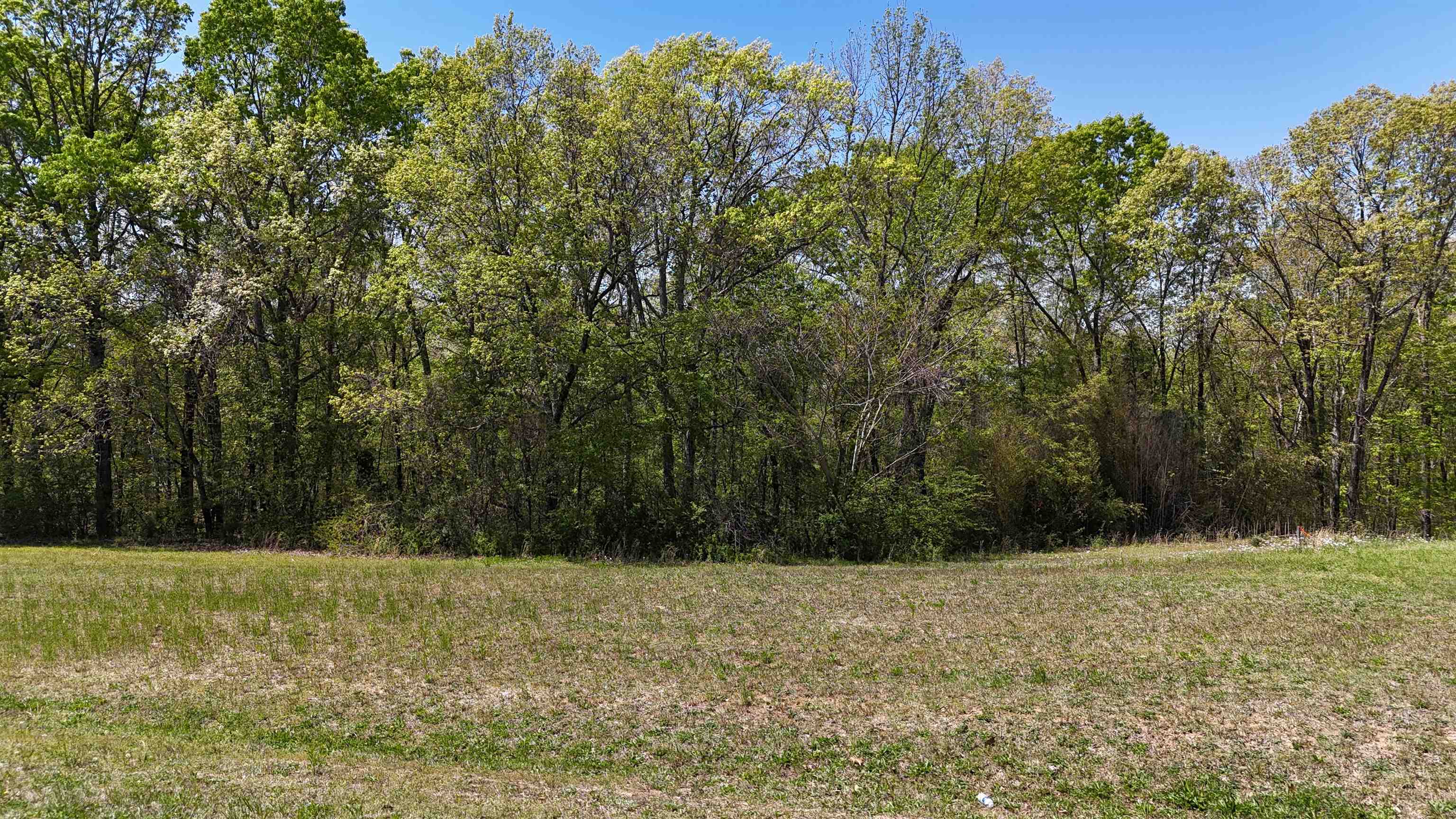0 Ebenezer Road Toone, TN 38381 - Photo 8 of 12 a view of outdoor space