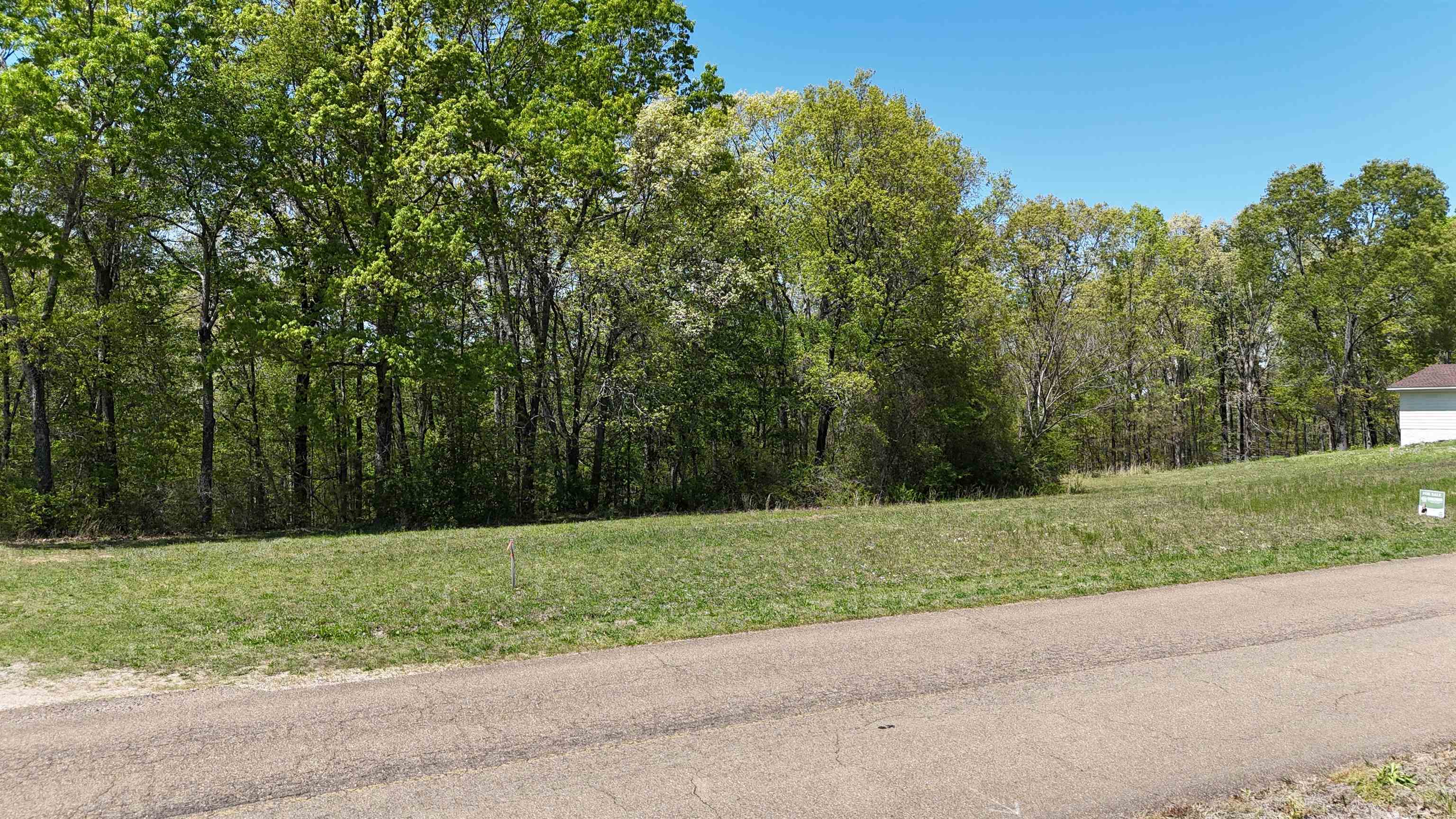 0 Ebenezer Road Toone, TN 38381 - Photo 9 of 12 a view of a park