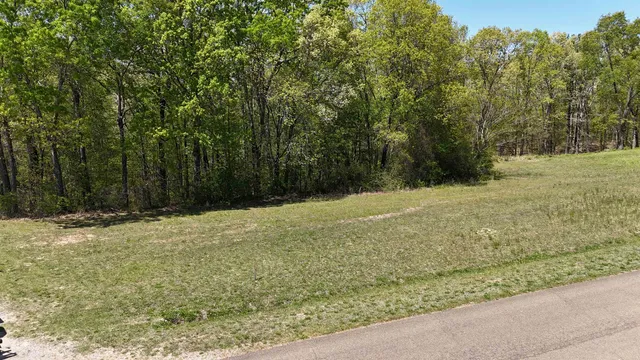 a view of a yard with large trees