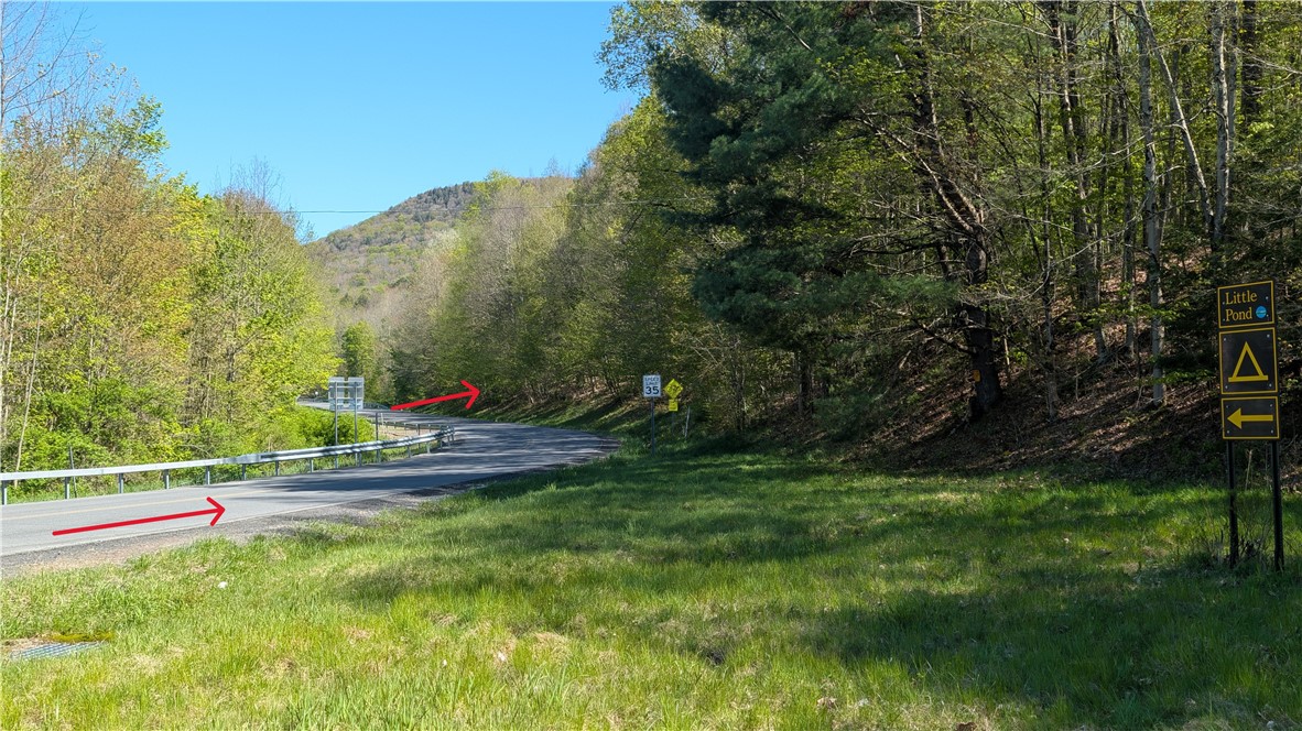 Lot 5 East River Road Andes, NY 13731 - Photo 13 of 39
