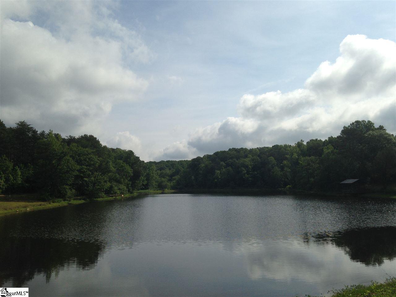 Old Georgia Road Moore, SC 29369 - Photo 17 of 24