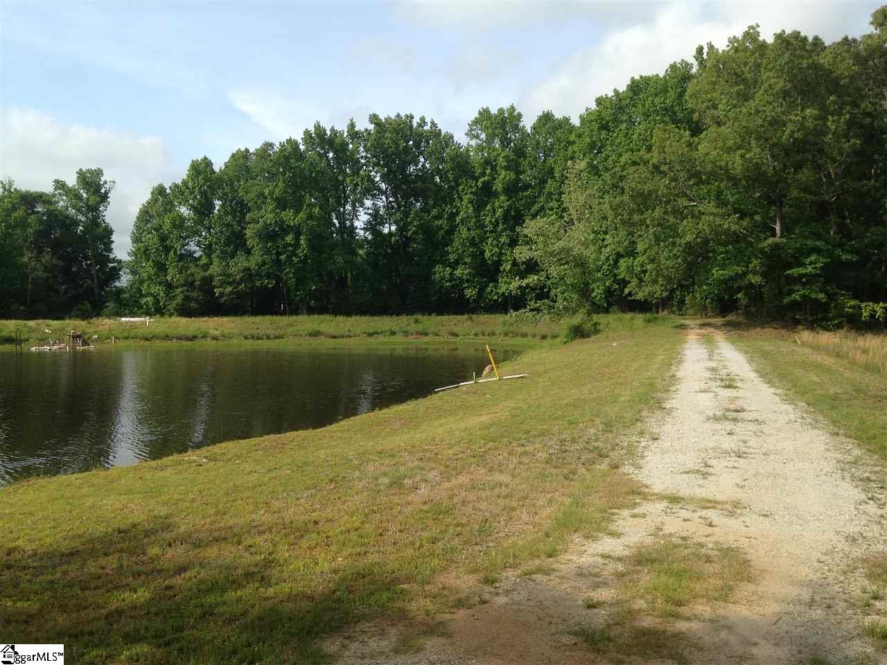 Old Georgia Road Moore, SC 29369 - Photo 18 of 24