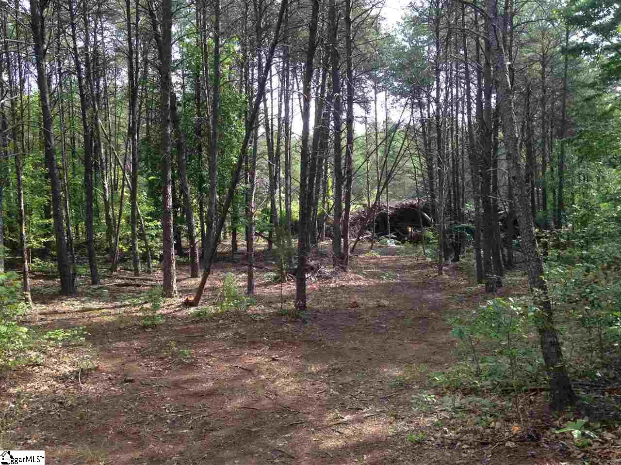 Old Georgia Road Moore, SC 29369 - Photo 21 of 24